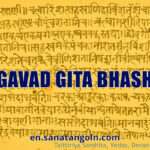 BHAGAVAD GITA BHASHYAM
